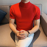 Autumn New Short Sleeve Knitted Sweater Men Tops Clothing 2023 All Match Slim Fit Stretch Turtleneck Casual Pull Homme Pullovers